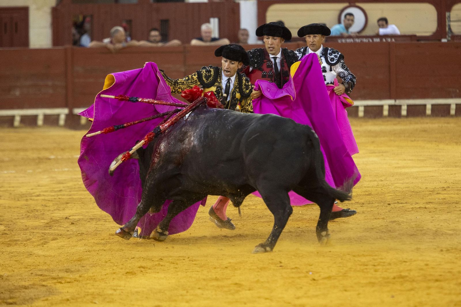 Las imágenes de la corrida de toros en El Puerto: puerta grande para Talavante