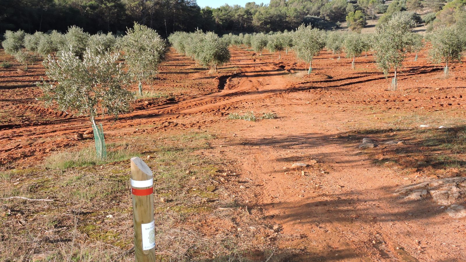 La señales de la Gran Senda de Málaga son fáciles de seguir.