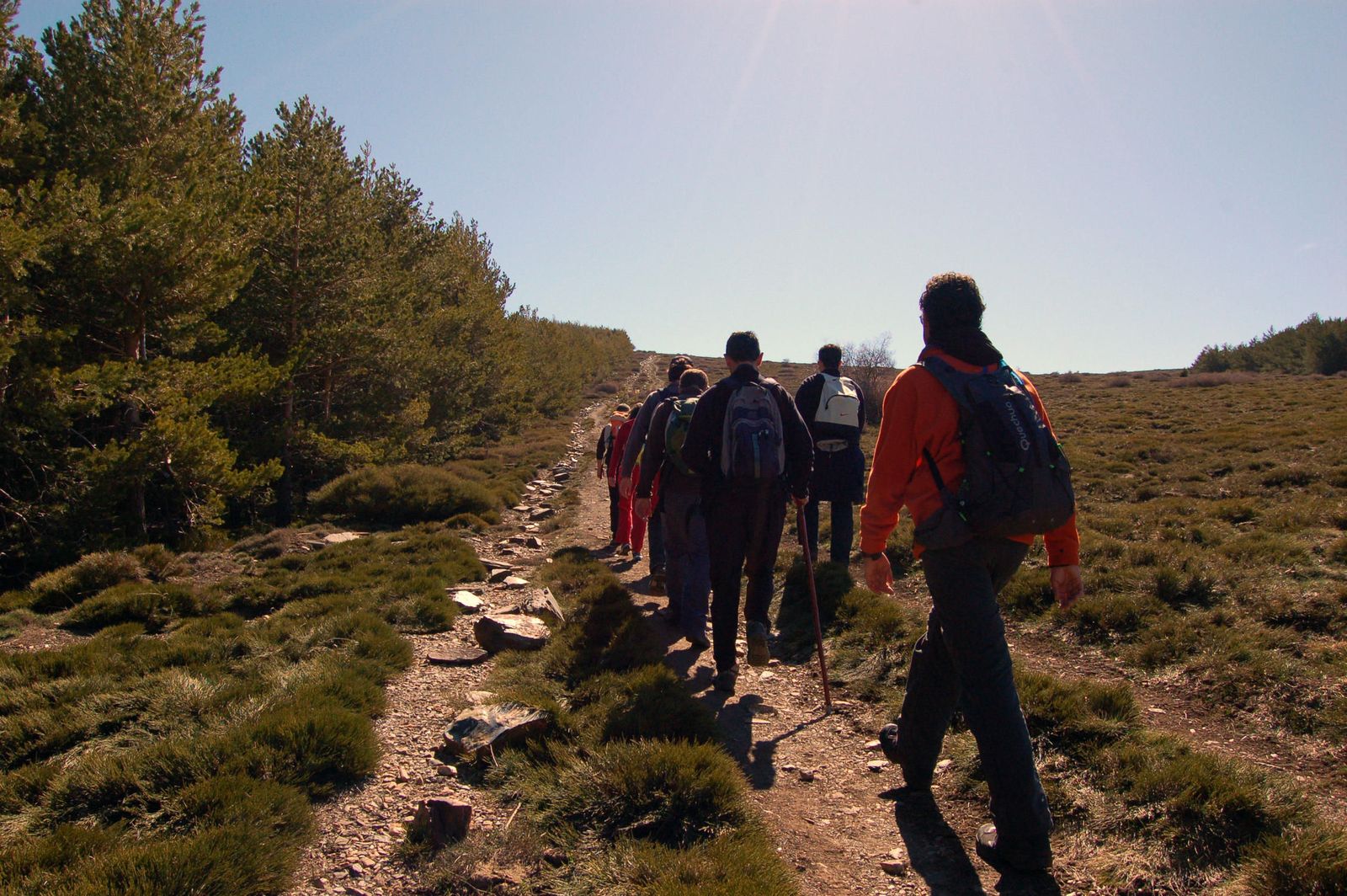 Un grupo de senderistas aficionados realiza una caminata liderada por un experto en la zona de Sierra Nevada.