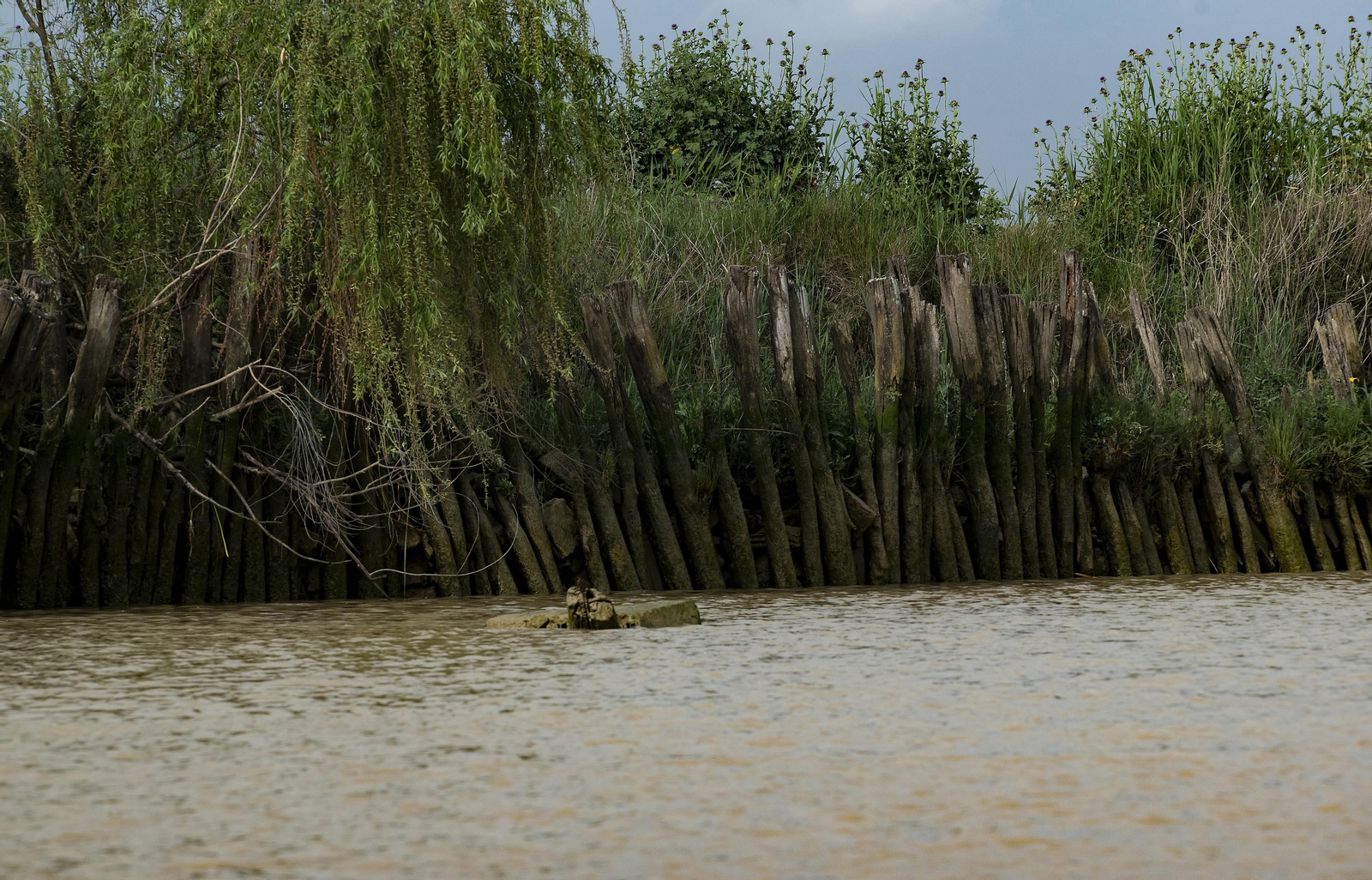 Defensas en las márgenes.
