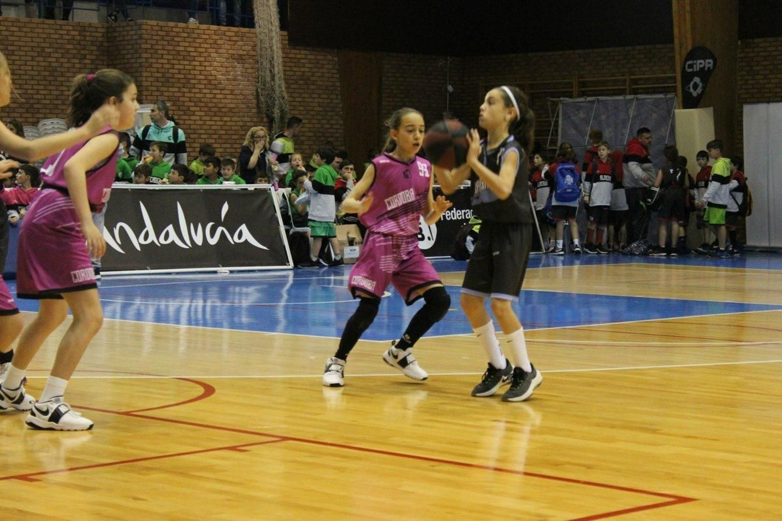 La V Fiesta Preminibásket en Benahavís, en fotos.