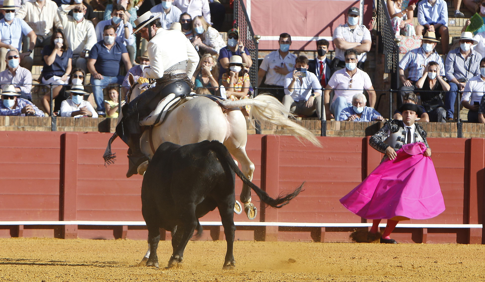 Toros. Corrida de rejones