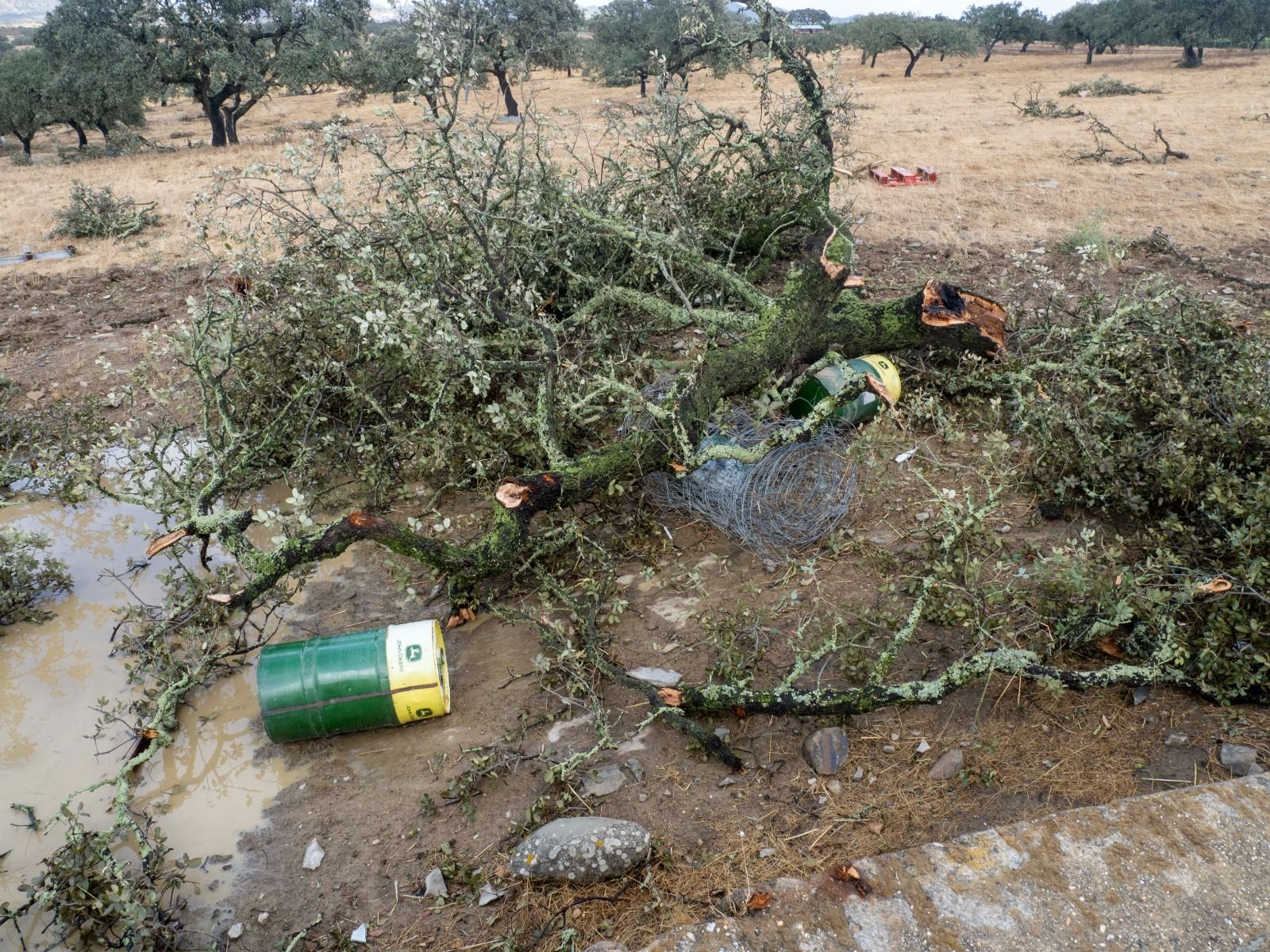 Imágenes de los destrozos provocados por un tornado en Villanueva de los Castillejos