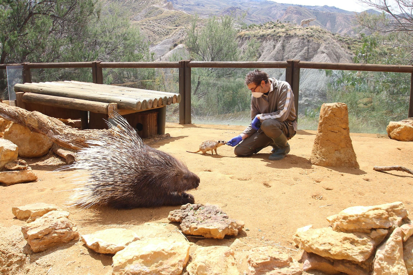 Fotogalería del Oasys Mini Hollywood sin actividad durante el coronavirus