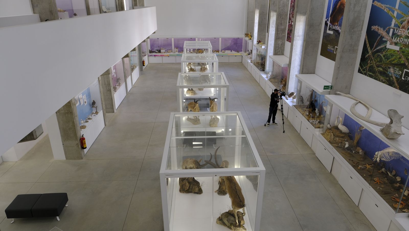 Las mejores imágenes del Pabellón de Historia Natural de la UAL