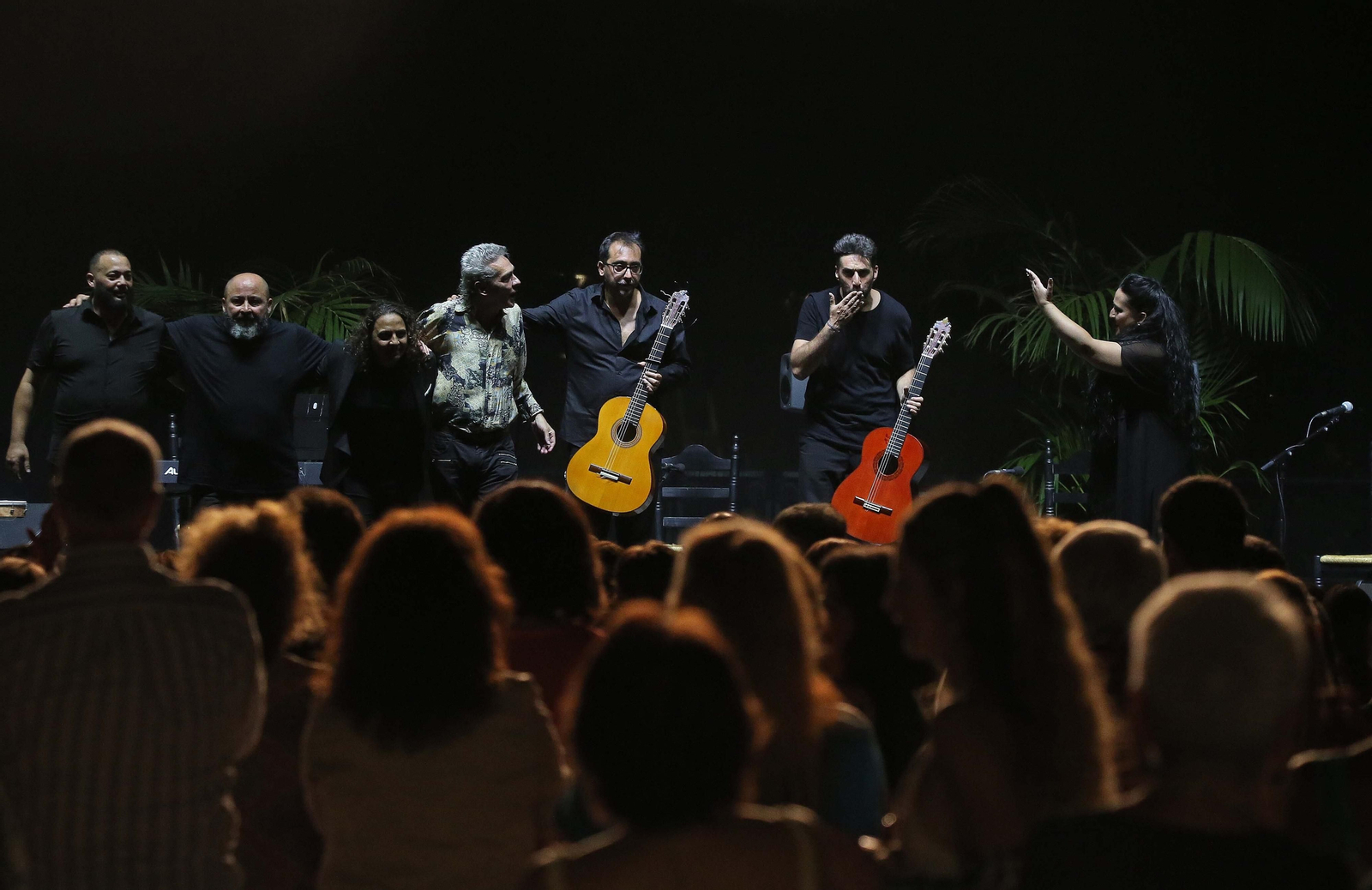 Fotos del concierto de Antonio Sánchez en el IX Encuentro Internacional de guitarra Paco de Lucía