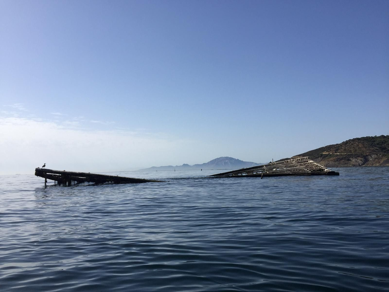 Una mejillonera semihundida.