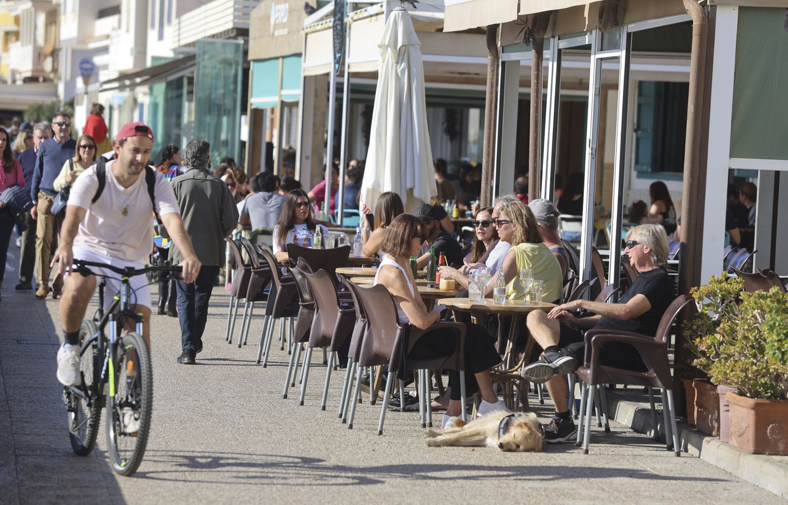 El buen tiempo acompaña a Málaga de camino a la Nochevieja (fotos)