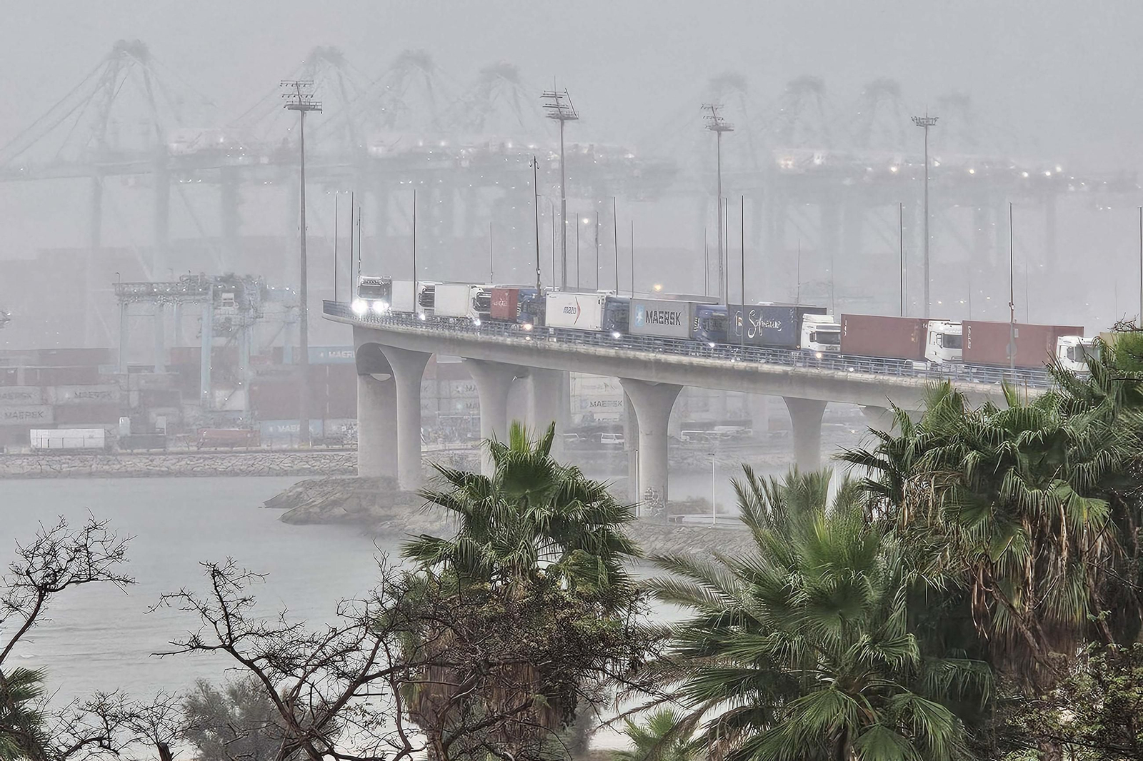 Las fotos del temporal de lluvia en el Campo de Gibraltar