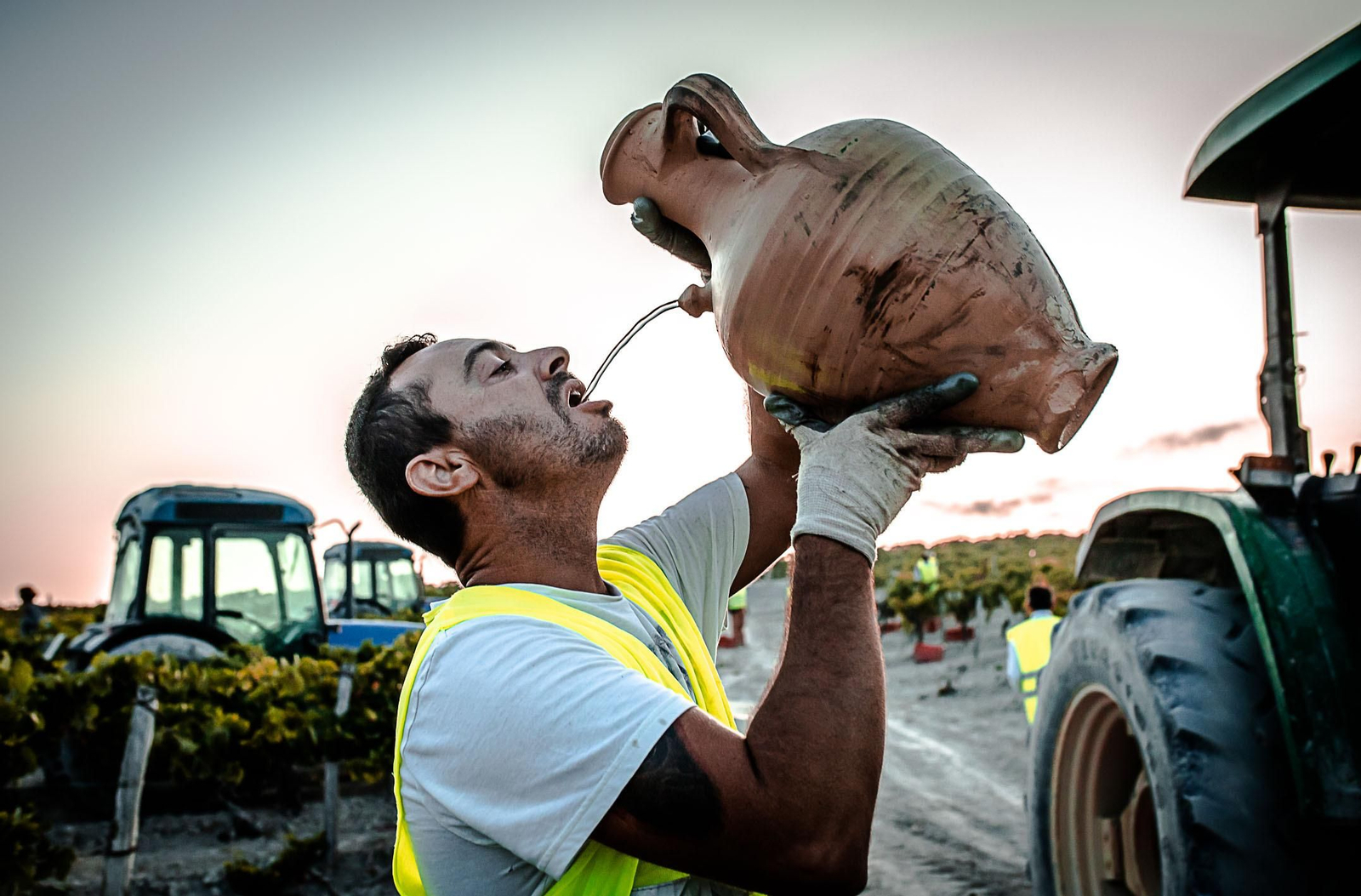 La vendimia nocturna de Tío Pepe