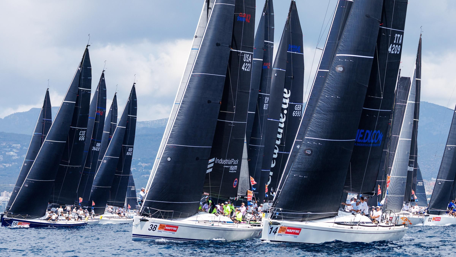 ORCA A Vela Regata (19).jpg