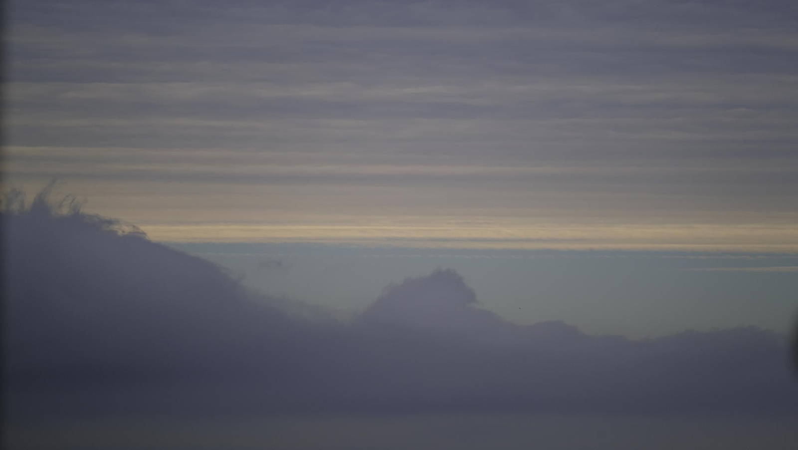 La Romería de Torregarcía, en imágenes