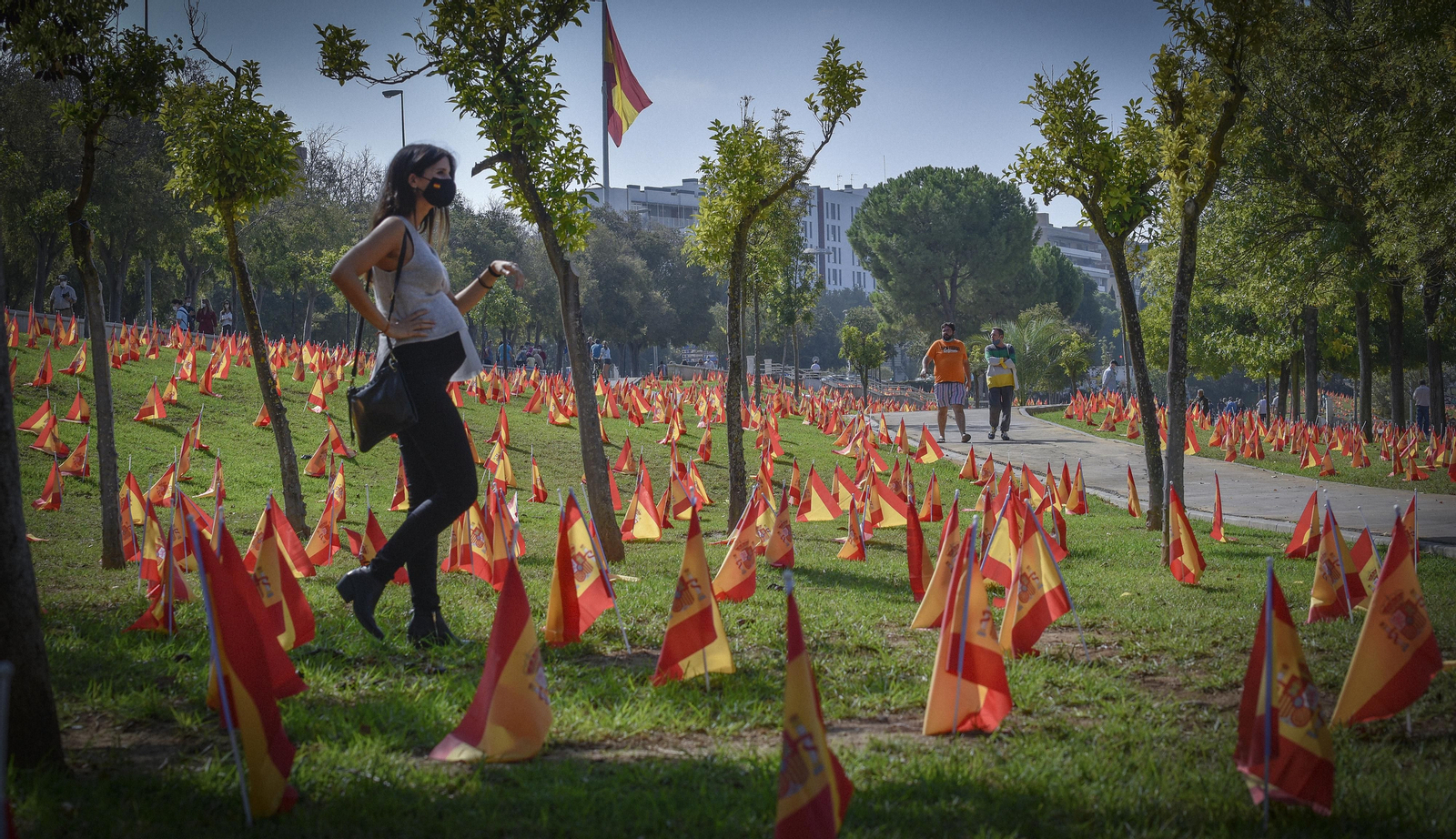 Víctimas del Coronavirus: 53.000 banderas de España junto al río