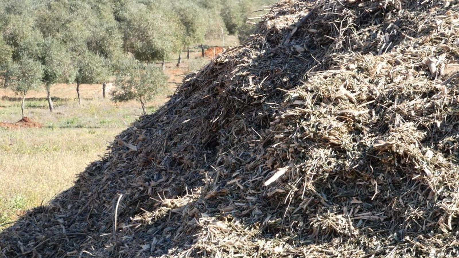 Biomasa. Imagen de archivo.