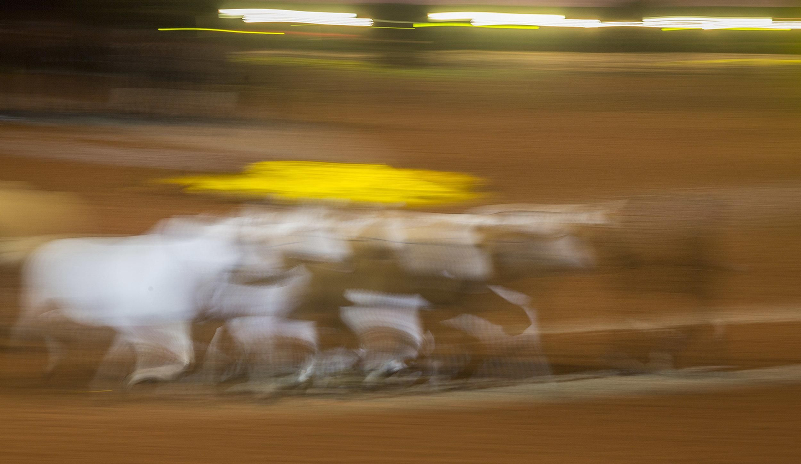 La inauguración de Sicab 2018, en imágenes
