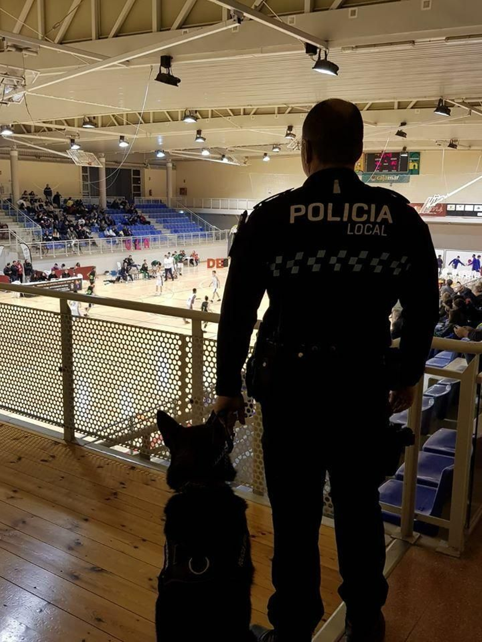 Un policía local de Vera, en el Pabellón Blas Infante durante un torneo