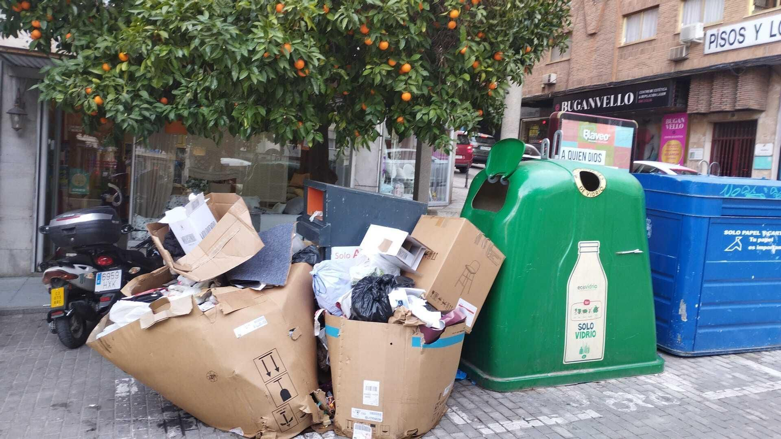 Basura acumulada en una céntrica calle de Jaén.