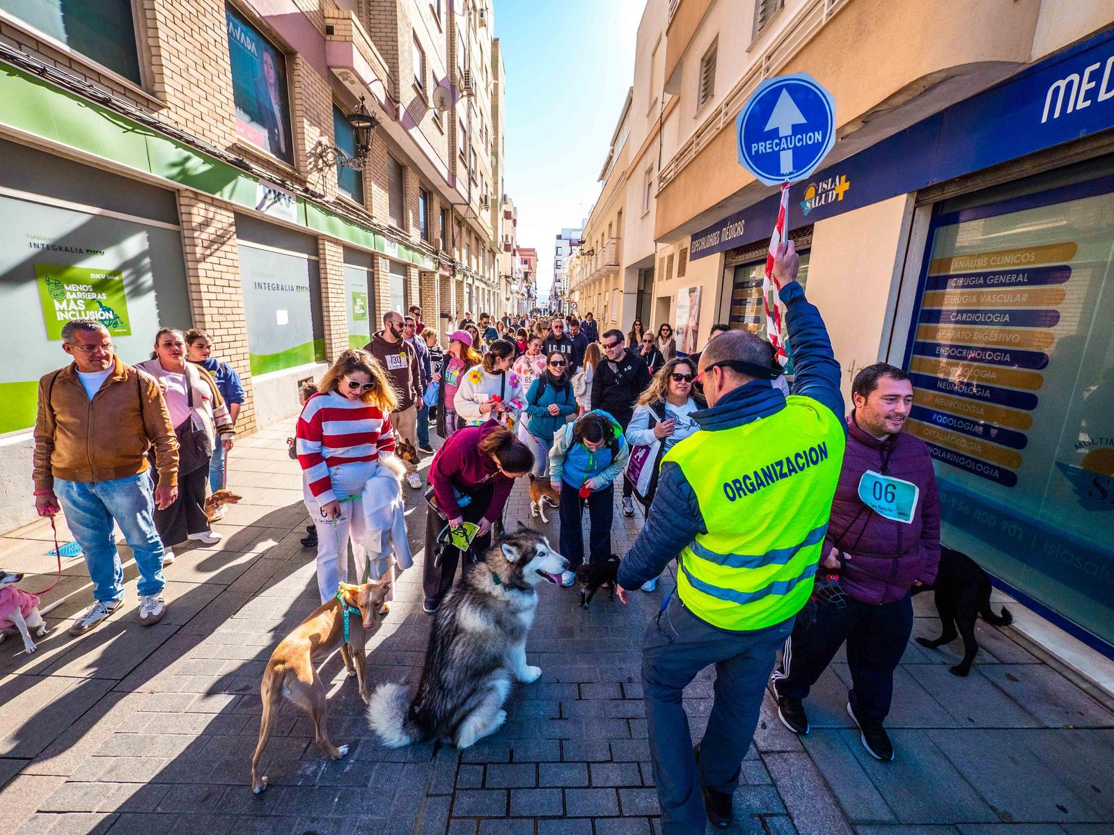 Las imágenes de San Antón 2025 en San Fernando