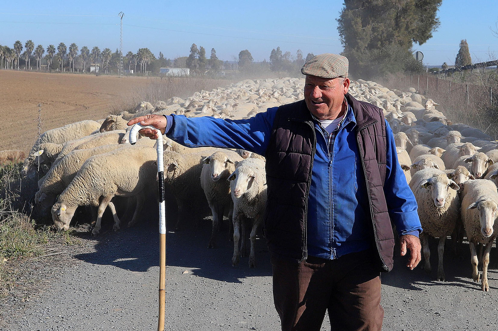 Imágenes del domingo 5 de febrero en Huelva