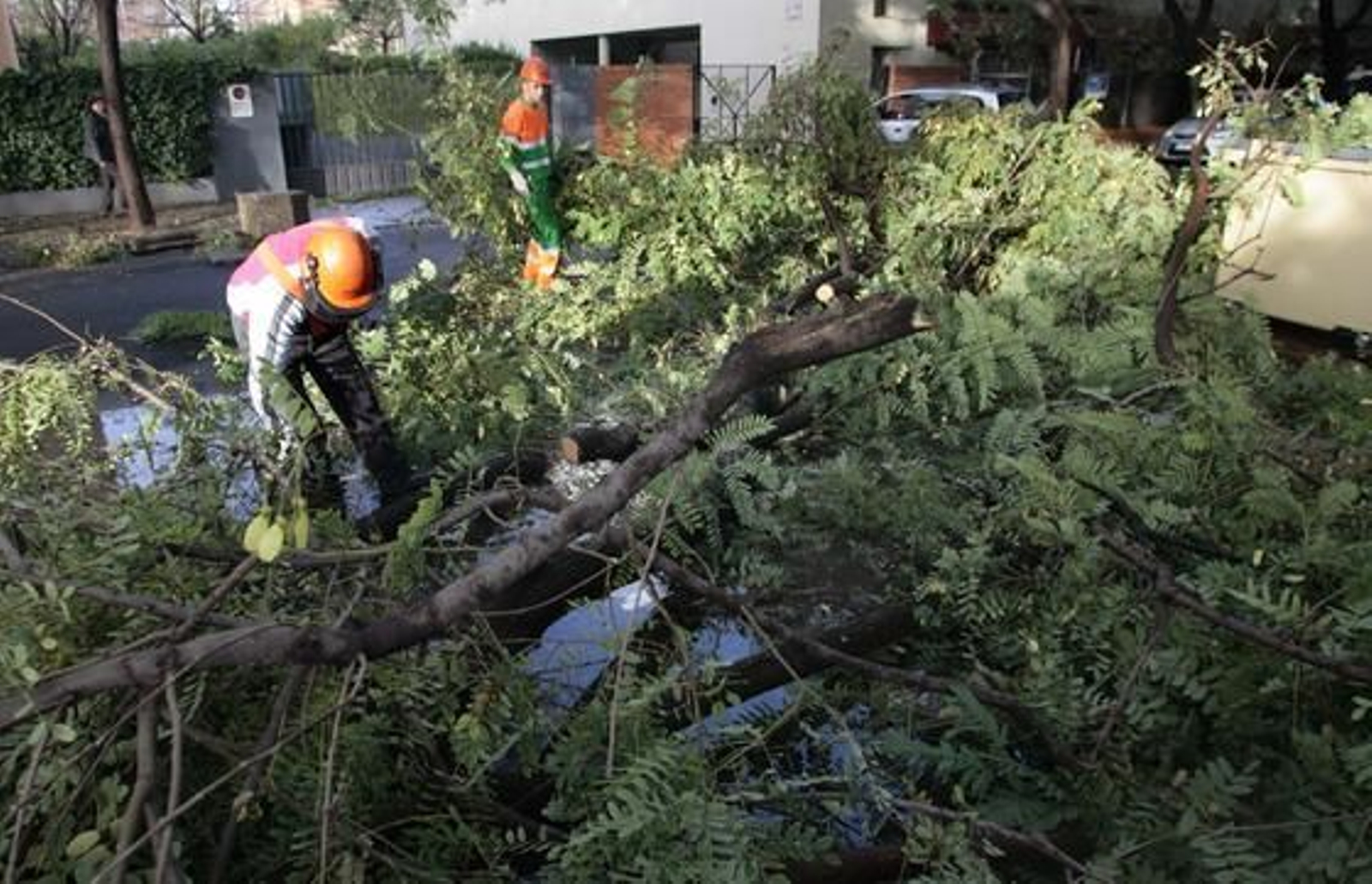 Foto: Juan Carlos Muñoz