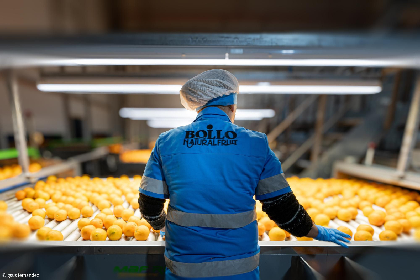 Una trabajadora de Bollo Natural Fruit en el proceso de selección de naranjas.