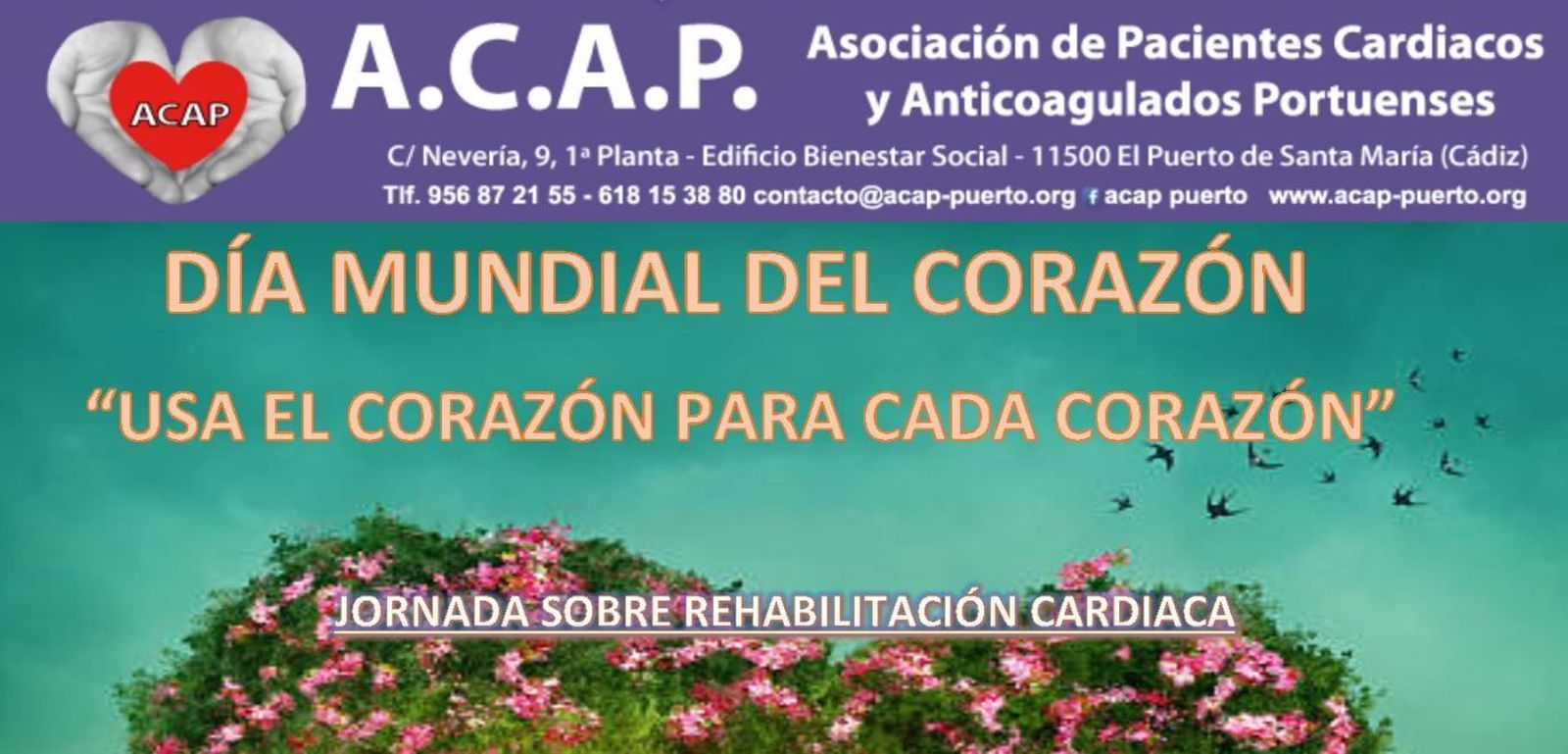 ACAP conmemora este jueves el Día Mundial del Corazón.