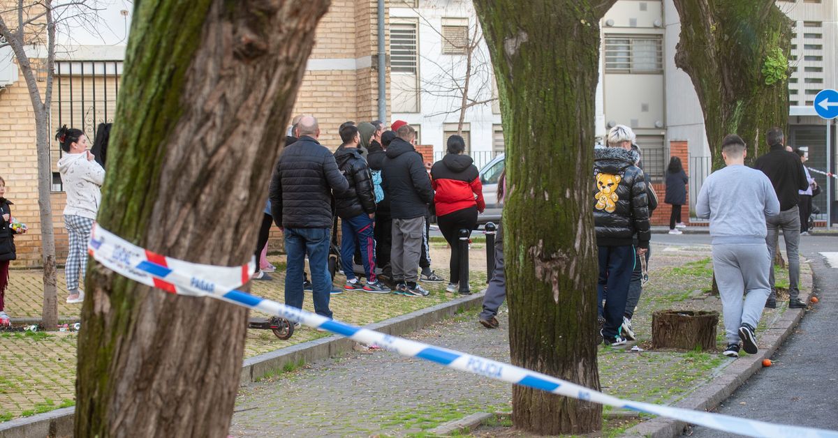 El juez envía a prisión a cinco detenidos por el crimen del Sector Sur; uno de ellos asume que es el autor material