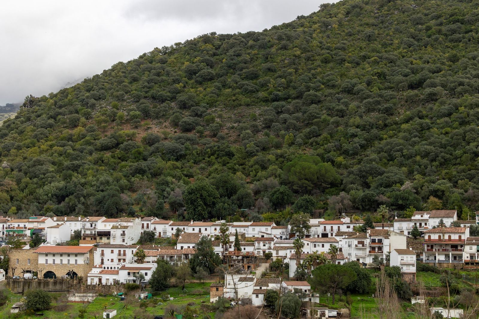 Perspectiva de Benamahoma, al abrigo de la montaña.