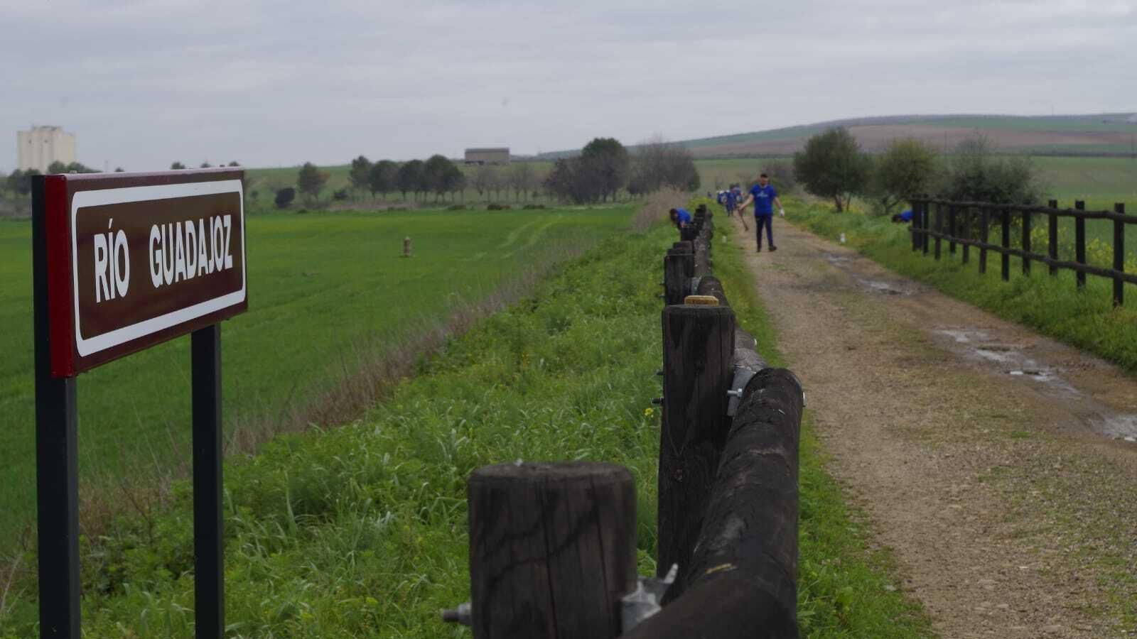 Lugar en el que han sido plantados los árboles.