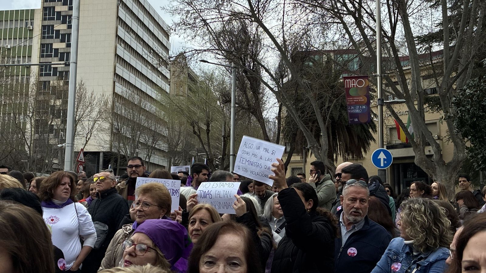 Manifestación del Día de la Mujer en Jaén.