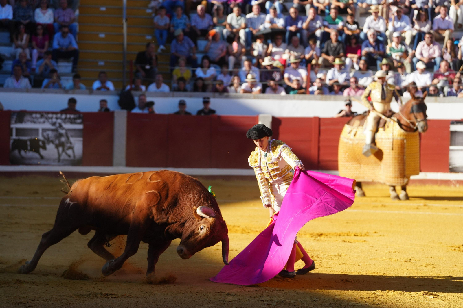 El triunfo de Rocío Romero, Manzanares y Roca Rey en la plaza de toros Pozoblanco, en imágenes