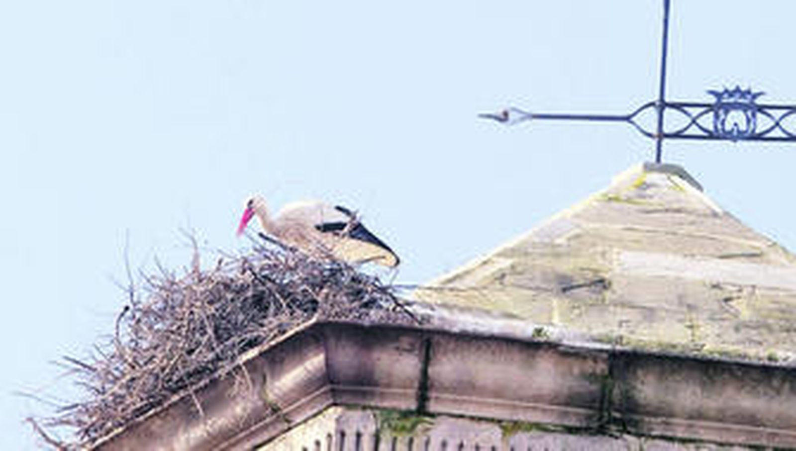 Las cigüeñas ya anidan