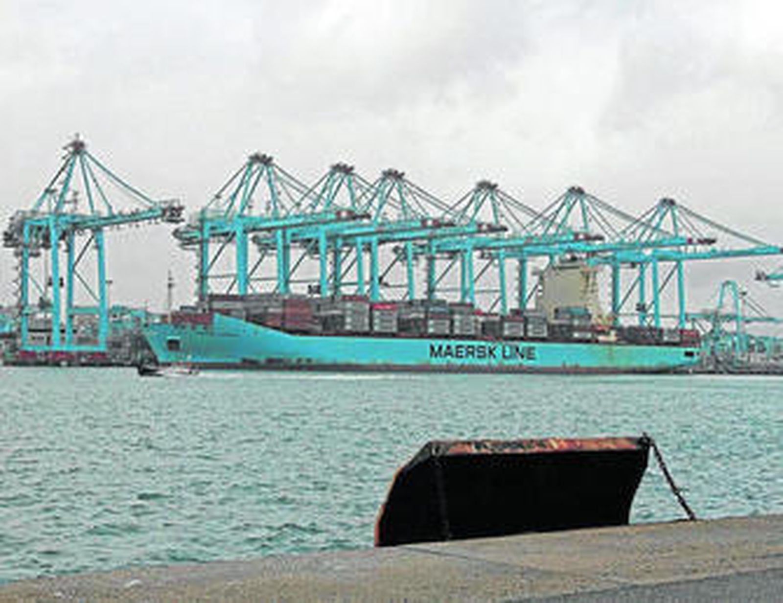 El 'Maersk Lamanai' operado con siete grúas simultáneamente, ayer en APM Terminals Algeciras.