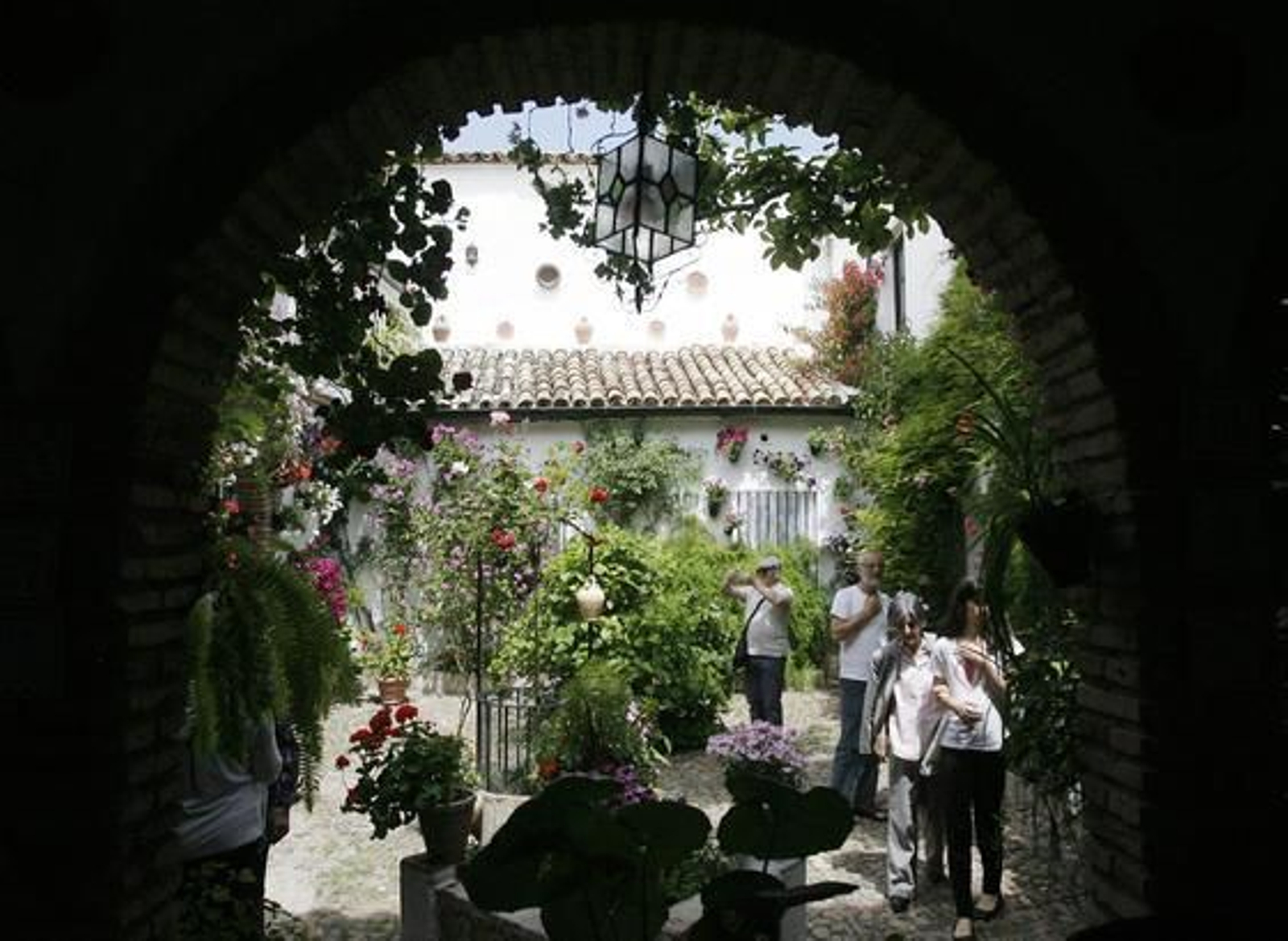 Foto: José Martínez