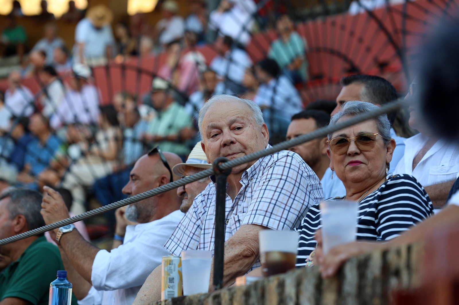 Búscate en la Novillada celebrada en la Plaza de Toros La Merced con motivo de las Fiestas Colombinas 2025