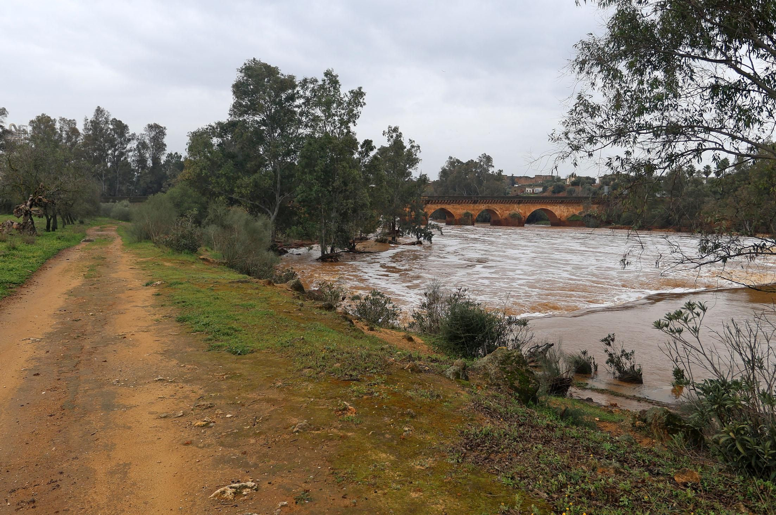 Imágenes del río Tinto a su paso por Niebla tras la borrasca Garoé