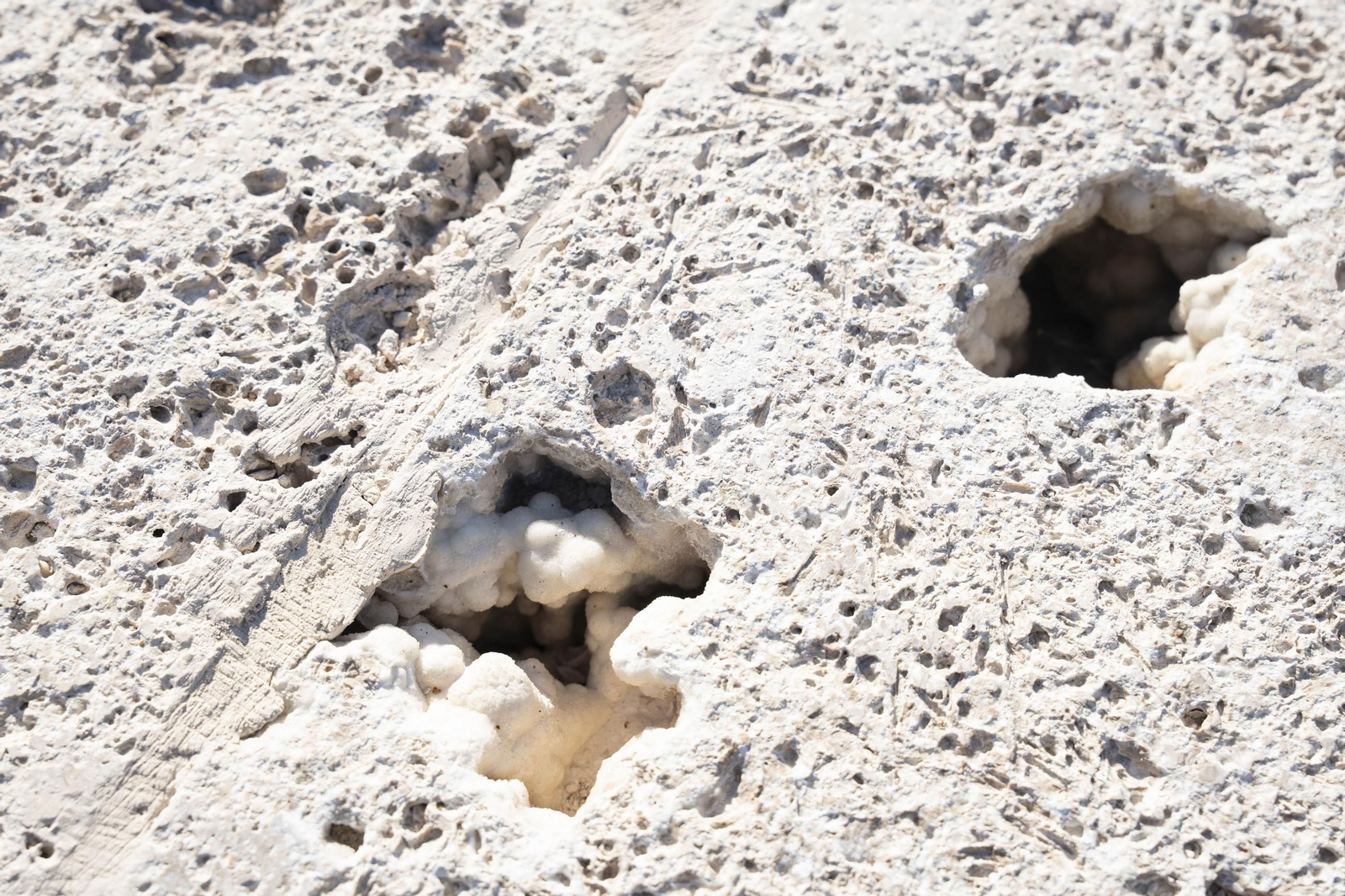 Los primeros usuarios del nuevo acceso al Puerto