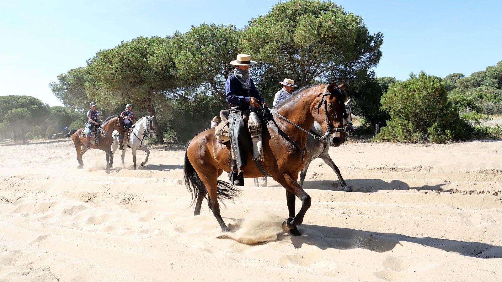Jueves de camino de la Hdad de Jerez por el Coto Doñana