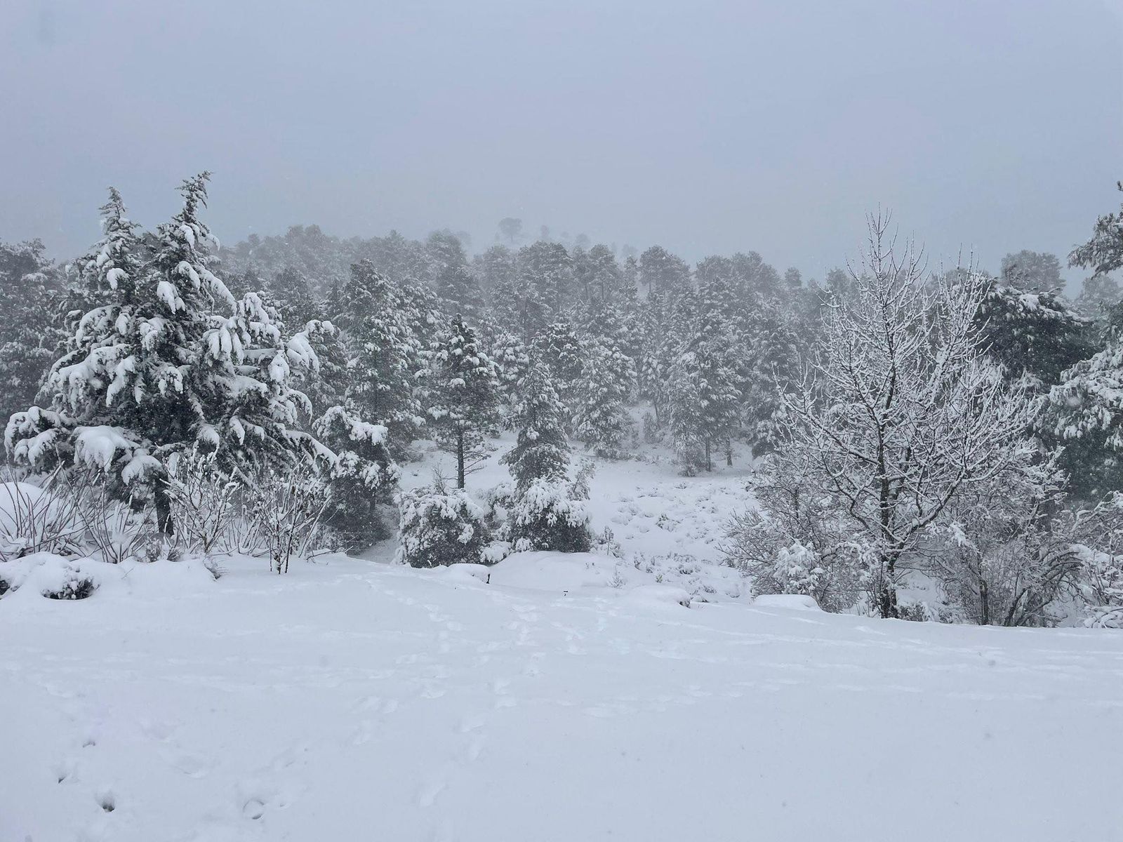 617078475_1440459524125286_7746494247778776854_n