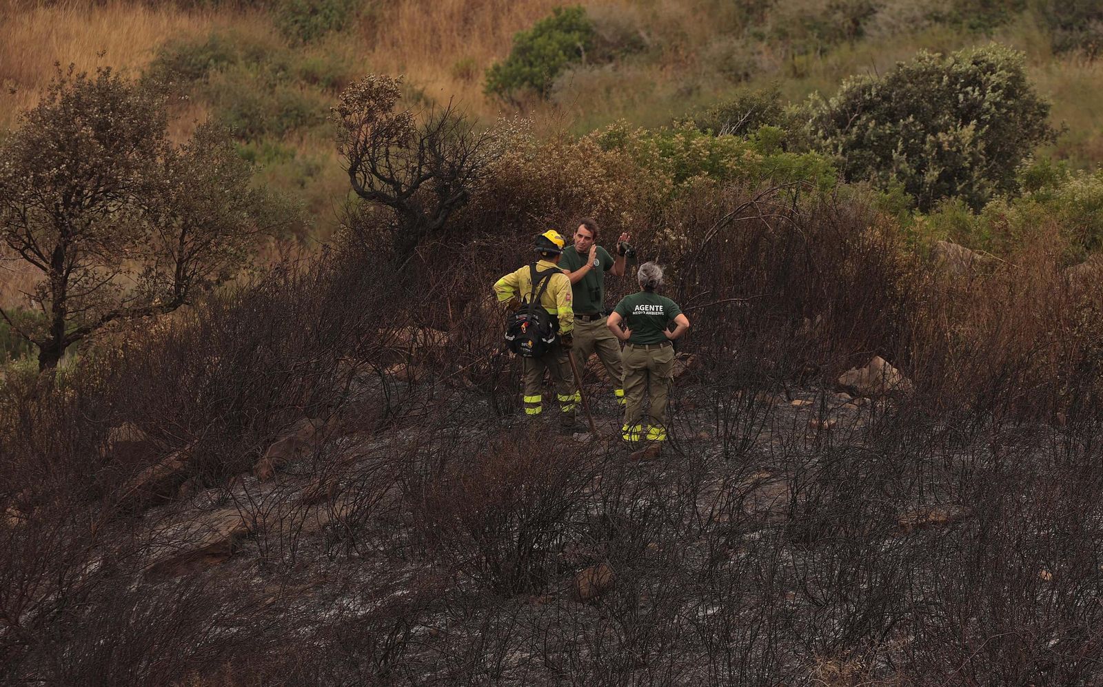 Fotos de los efectos del incendio en el Puerto del Laurel en Algeciras
