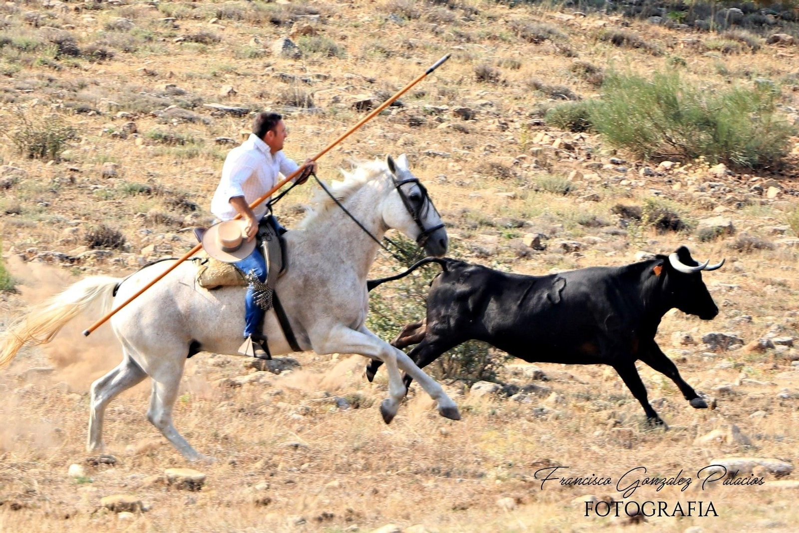 Saltos y fintas de vértigo en los encierros de Santiago de la Espada, en imágenes