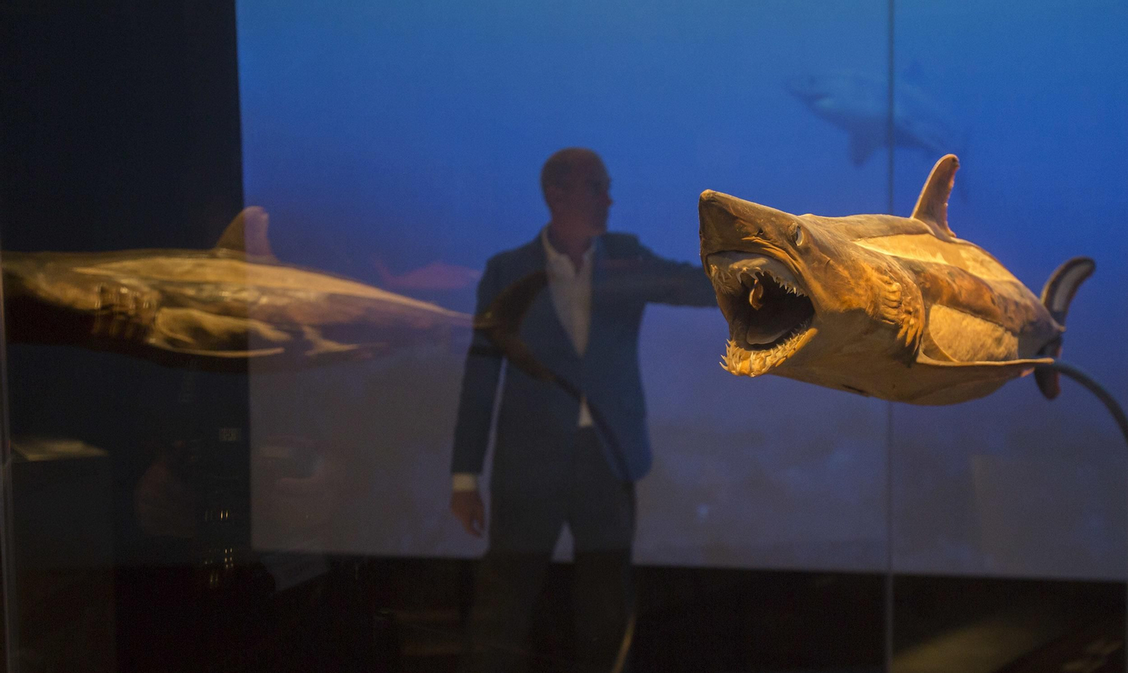 La exposición 'Animal Inside Out', en Sevilla