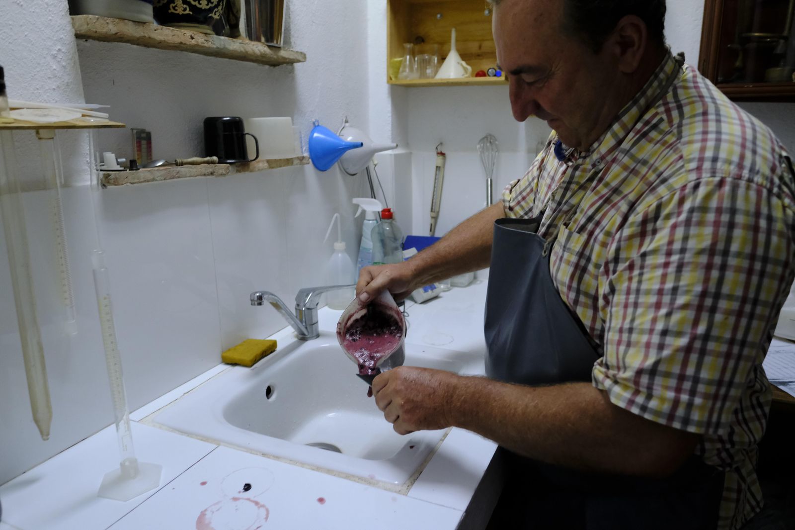 Vendimia en la Serranía de Ronda, en fotos