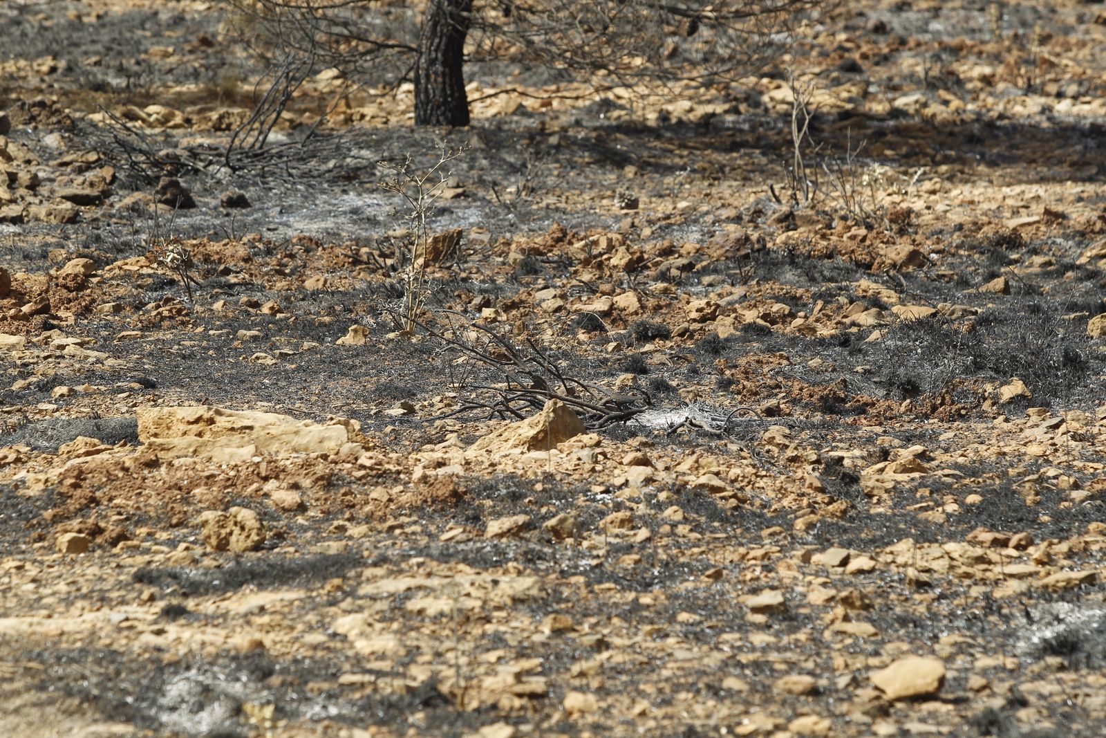 Fotogalería incendio extinguido Sierra de Gádor