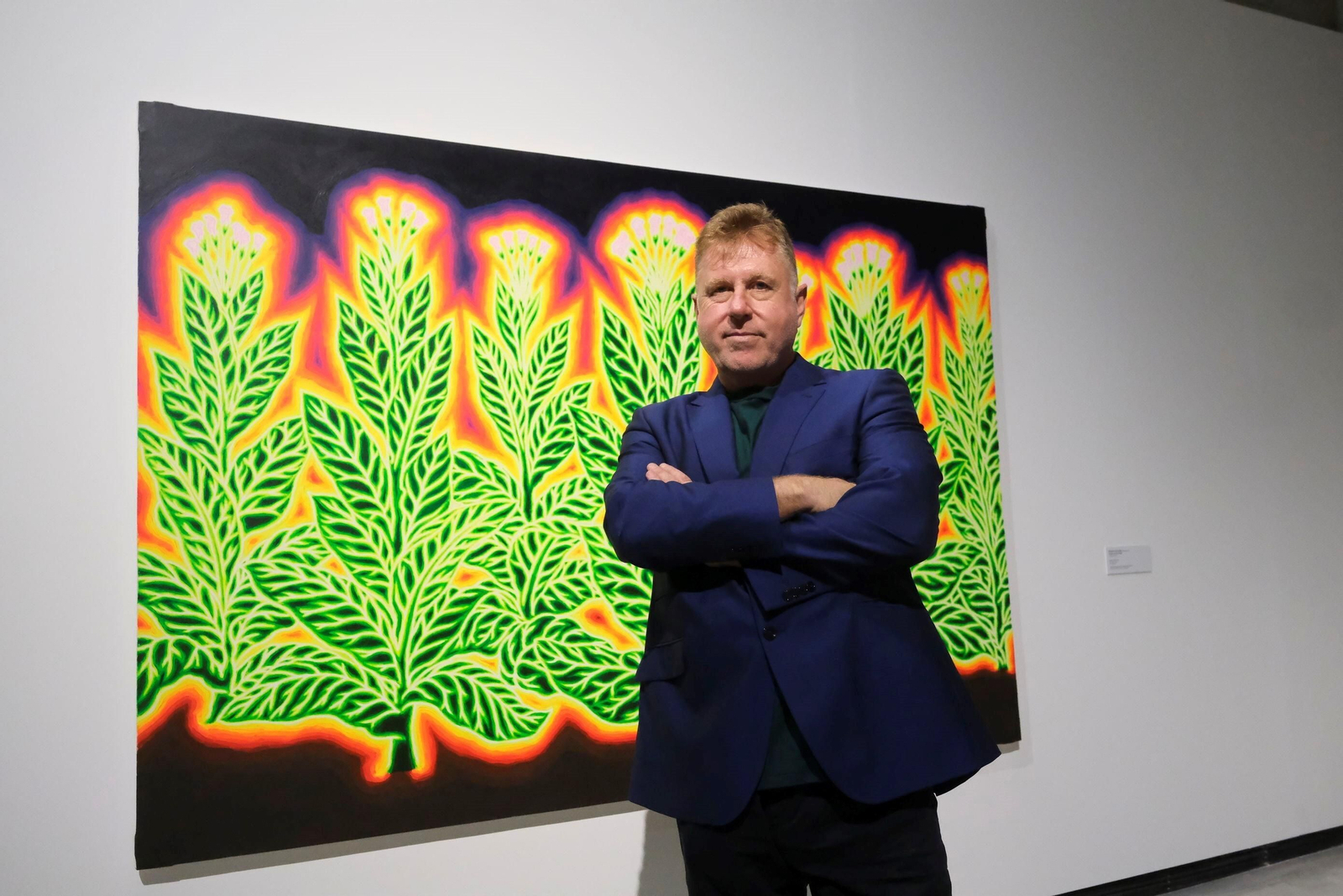 La exposición 'Sombra verde' de Federico Guzmán en el C3A de Córdoba, en imágenes