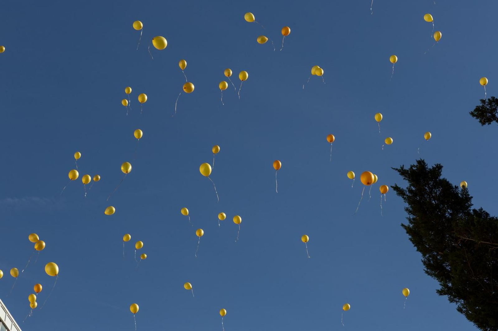Celebración del día contra el Cáncer Infantil