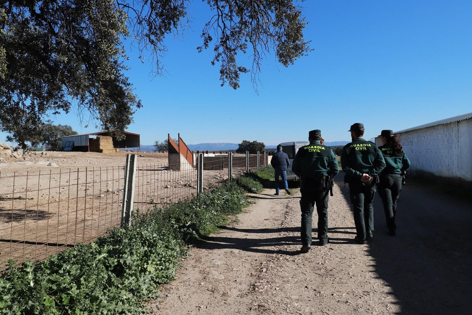 Una jornada con la Guardia Civil de Pozoblanco, en imágenes