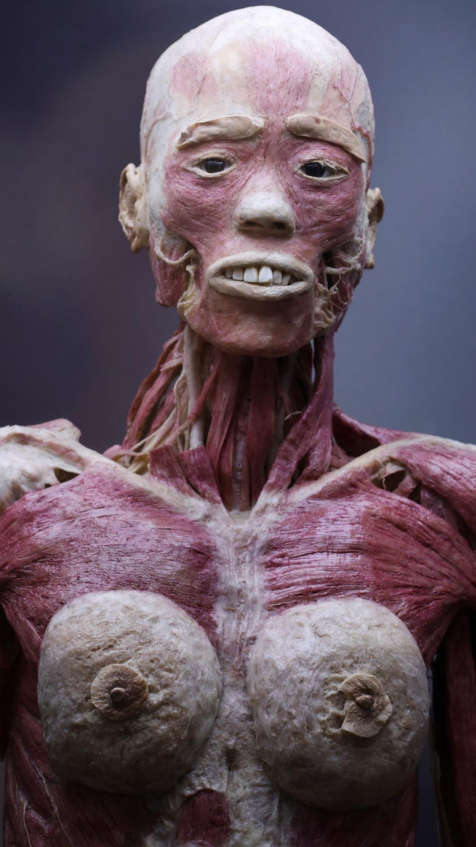 Cuerpo de mujer. Cuerpo de mujer.