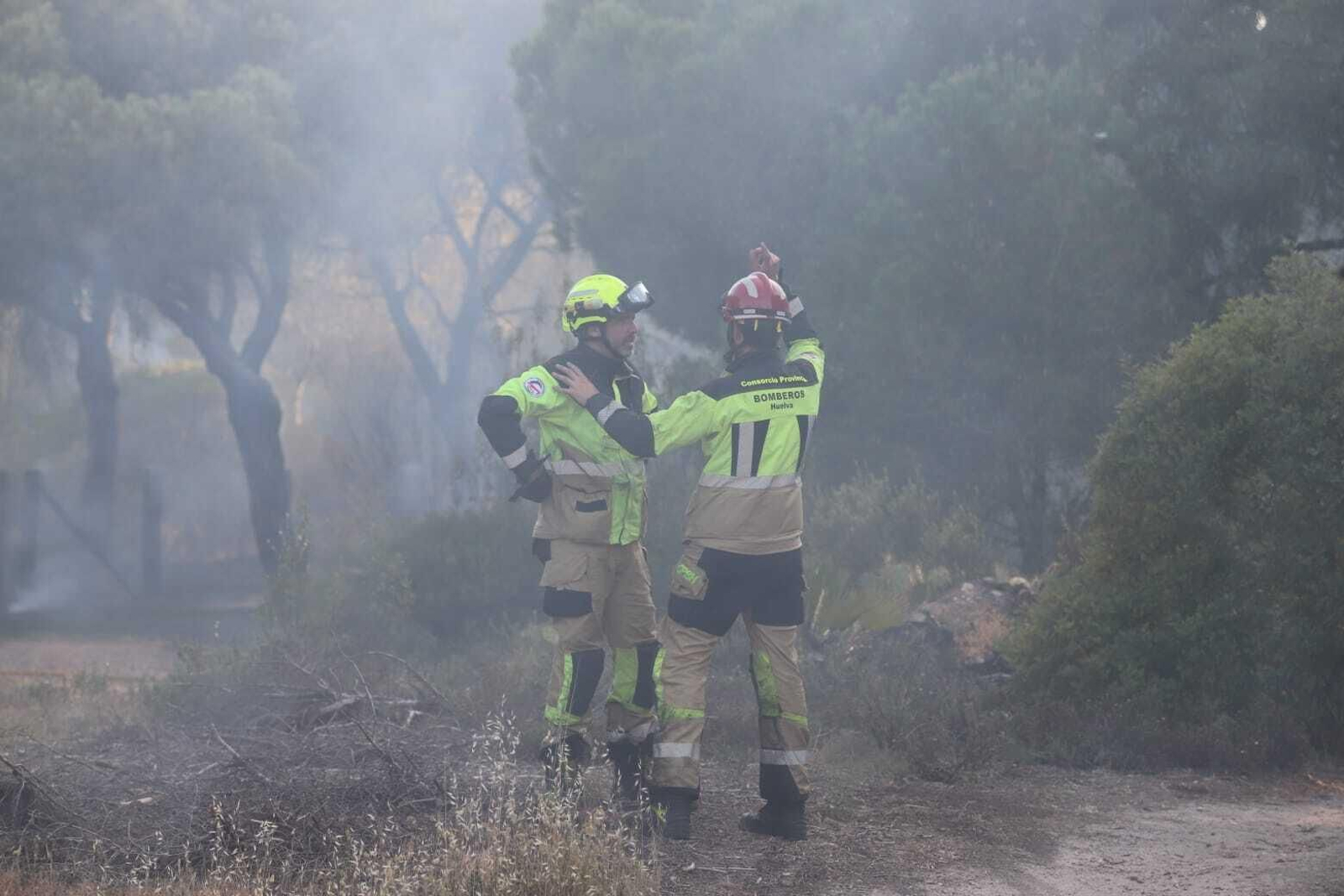 Fuego en la laguna de El Portil: las imágenes del incendio