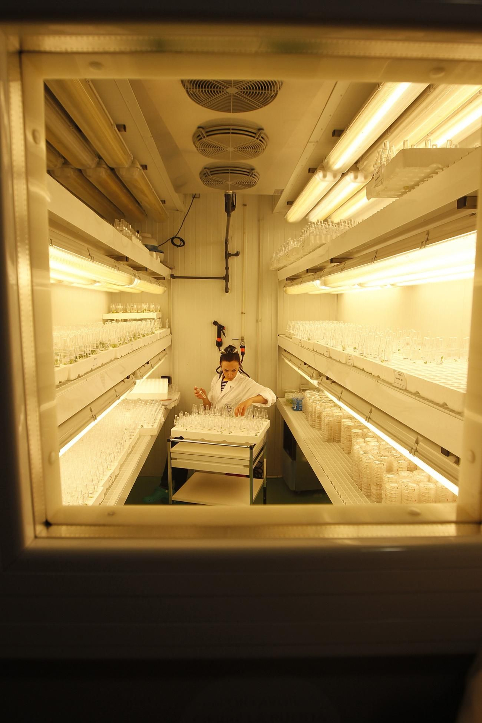 Fotogalería presentación resultados Bayer